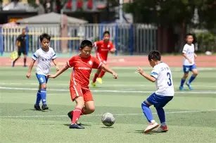 澳超榜首对,奥克兰主场,专家质合分,博彩网站,博彩平台排行榜