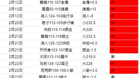 《邮报》曝：勒沃库森考虑麦卡蒂加入维尔茨转会计划